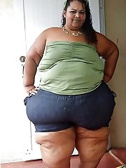 Robust and Mature: Netting Vol six